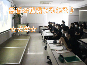 動物が好きだから…？